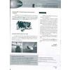 BSA Newsletter Ѻ 27